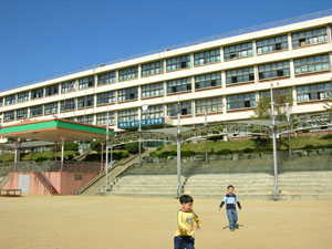                       ▲ 광명동초등학교       전경      