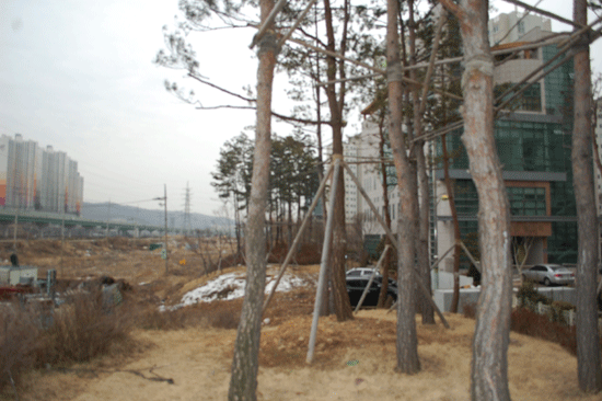                                                                                    ▲ LH공사가 조성했다는 완총녹지(방음림). 듬성듬성 나무 몇 그루가 심어져 있다.                              