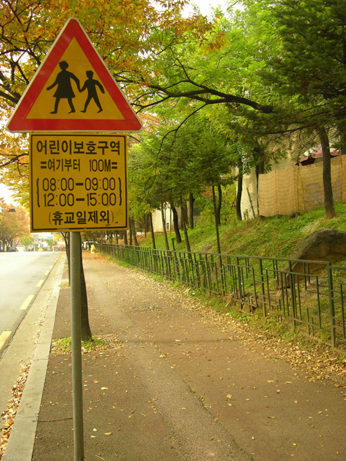                       ▲ 낙엽을 밟으며 걷는 이 길은       안전하지요...      