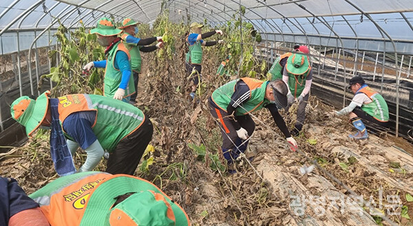 광명시자율방재단이 지난 21일 집중호우로 피해를 입은 청주 농가를 찾아 복구작업에 참여했다.